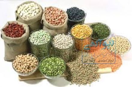 بازرگانی  مواد غذایی حسنی