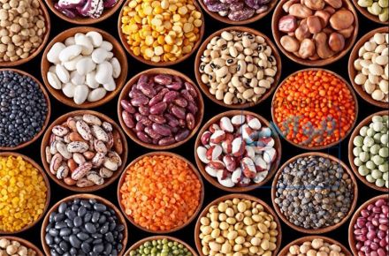 بازرگانی  مواد غذایی حسنی