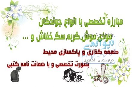 خدمات سمپاشی