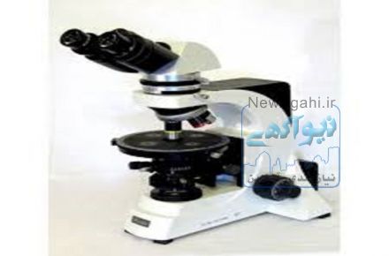 رسم ستون چینه شناسی و فسیل شناسی