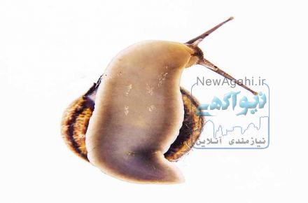 عکاسی صنعتی