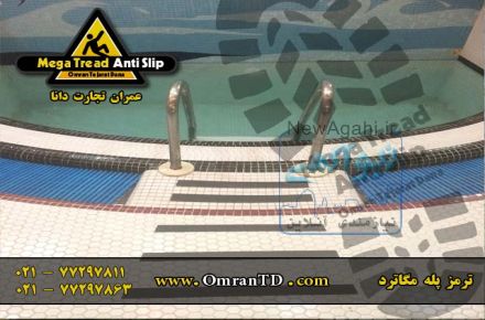 ترمز پله  ، سرگیر پله