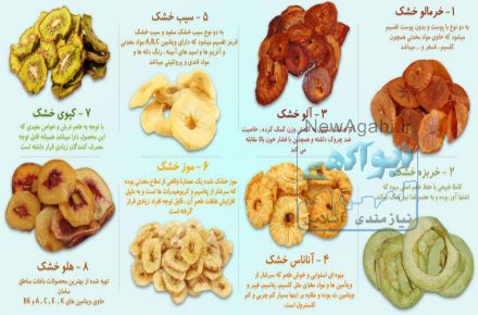 دستگاه خشک کن میوه و سبزی رویشگر