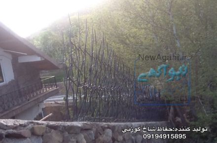حفاظ شاخ گوزني