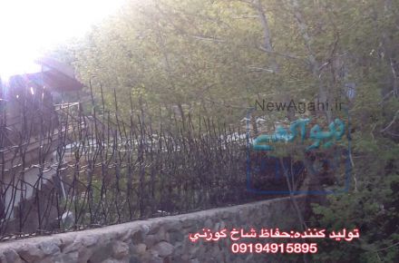 حفاظ شاخ گوزني