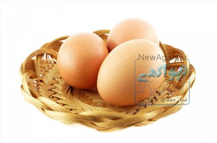 انواع تخم مرغ بسته بندی