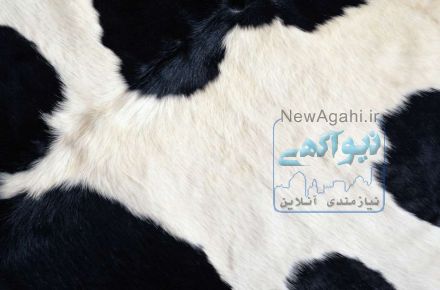 انواع چرم گاوی اصلی
