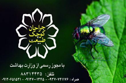 شرکت دفع آفات و سم پاشی