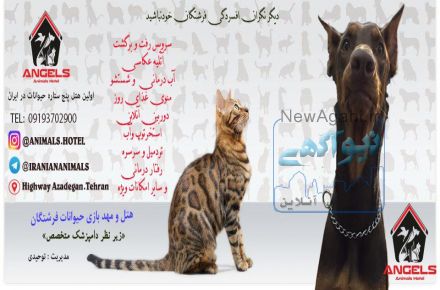 هتل حيوانات فرشتگان