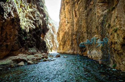 تور یکروزه  تنگه واشی