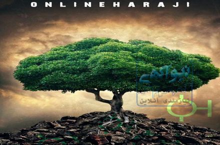 از کالاهای دورریختنی خود سرمایه بسازید