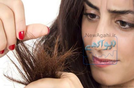 آیا شما هم از موخوره رنج می برید؟