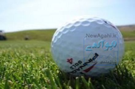 فروش گلف خانگی  و اداری