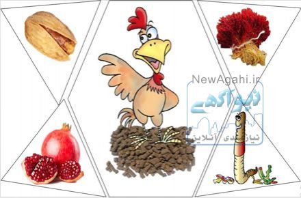 ارسال فوری کود به سراسر کشور