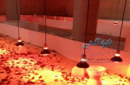 فروش ویژه بلدرچین تکی وعمده