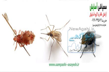 خدمات سمپاشی