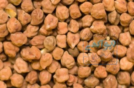 فروش نخود اتیوپی