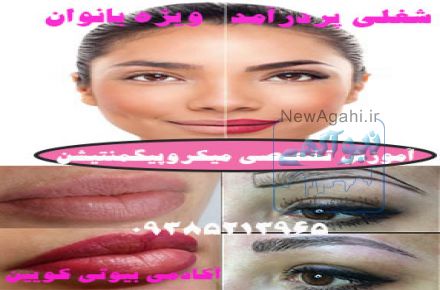 اولین دوره آموزشی پیشرفته و میکروپیگمنتیشن ٢٠١٧