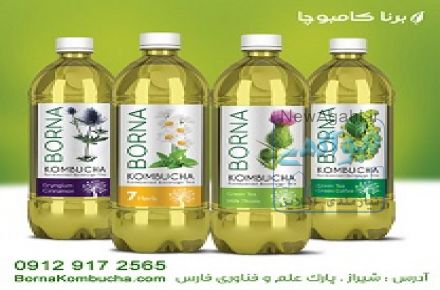 اعطای نمایندگی فروش نوشیدنی تخمیری برنا کامبوچا 