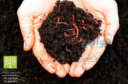 فروش ویژه کود ارگانیک ورمی کمپوست و کرم خاکی