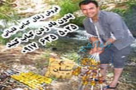 فروش زغال حرارتی سان