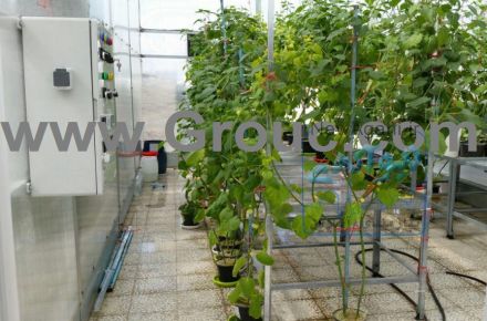 شرکت طراحی مهندسی گروک( گلخانه تحقیقاتی )