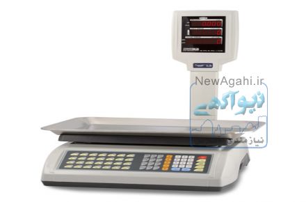 شرکت بازرگانی رنگین