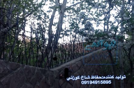حفاظ شاخ گوزني