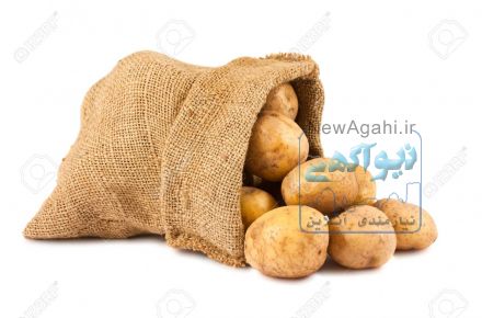 تولید و پخش و صادرات انواع سیب زمینی  و سیر و پیاز