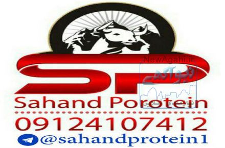 سهند پروتئین
