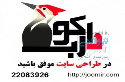 موفقیت در طراحی سایت