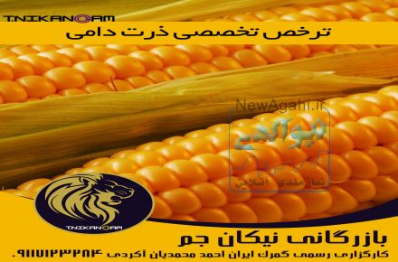 ترخیص غلات گمرک بندر امیرآباد