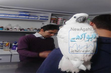 کلینیک دامپزشکی پارسه