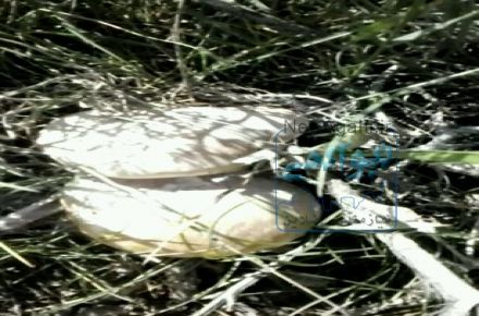 داستان واقعی سرگذشت یک بچه روستایی 