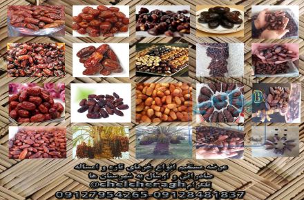 عرضه مستقیم انواع خرمای اعلا