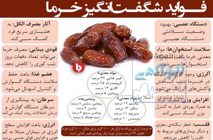 عرضه مستقیم انواع خرمای اعلا