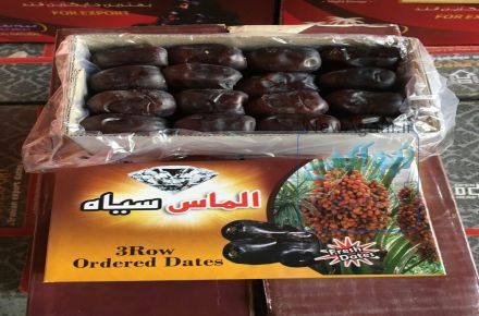 پخش کلی و جزیی خرما