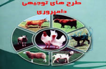 دانلود پکیج طرح توجیهی دامپروری به همراه هدایای ارزشمند