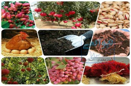 تامین و ارسال انواع  کود به سراسر کشور