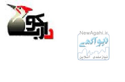 طراحی سایت و ساخت وب سایت بهینه سازی شده برای موتورهای جستجو دارکوب
