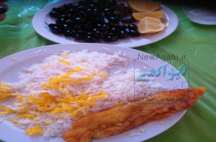 تور کربلا  ایام فاطمیه و عید نوروز