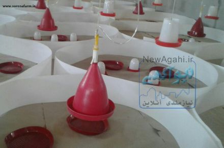 فروش ابخوری و دانخوری مرغ
