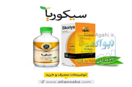 فروشگاه اینترنتی عالیان سبز