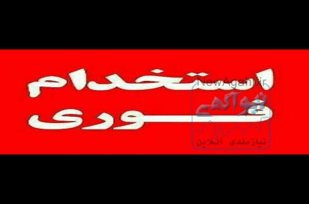 استخدام بازاریاب اینترنتی نودینو