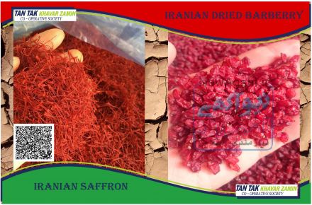 فروش عمده انواع زرشک