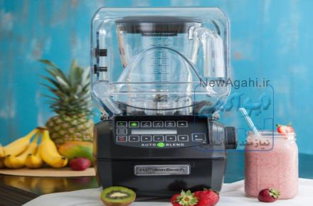 بلندر ، مخلوط کن ، غذاساز  : همیلتون بیچ آمریکا