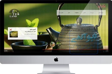 طراحی وب سایت،فروشگاه آنلاین،بهینه سازی و ارتقا(سئو) و پشتیبانی