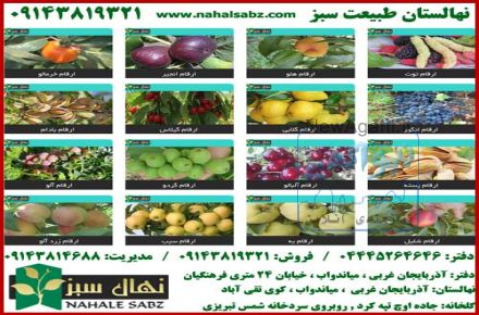 نهالستان طبیعت سبز (میاندوآب) | تولید کننده انواع نهال میوه , بذر نهال و درختچه های زینتی