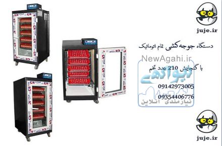 راندمان بالا با دستگاه جوجه کشی 210 عددی
