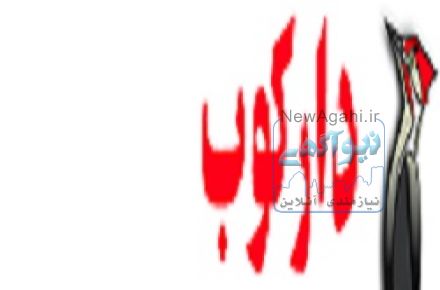 بهینه سازی سایت با 15 سال سابقه، تبلیغات و بازاریابی اینترنتی دارکوب